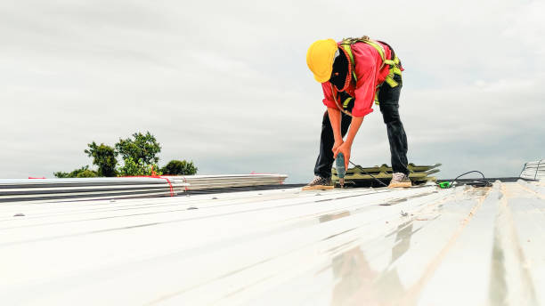 Best Green or Eco-Friendly Roofing Solutions  in USA